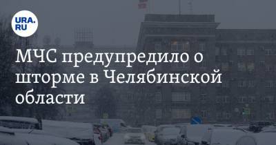 МЧС предупредило о шторме в Челябинской области