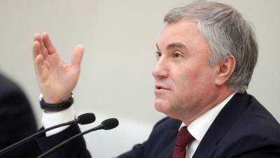 Володин призвал Украину остановить боевые действия в Донбассе