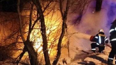 В Калуге иномарка врезалась в дерево и загорелась – погибли трое
