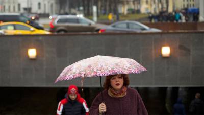 Синоптик рассказал, когда в Москве растает весь снег