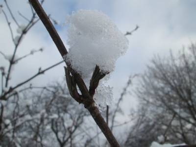 Не прячьте пуховики: на Благовещение в Украину придет циклон со снегопадами и дождями