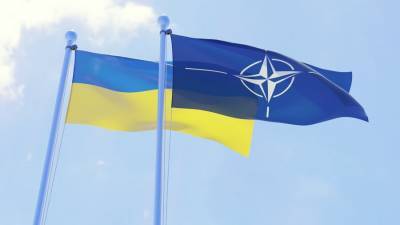 Эксперт оценил заявления украинского главнокомандующего о вступлении в НАТО