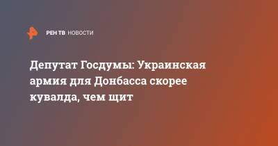 Руслан Хомчак - Елен Панин - Депутат Госдумы: Украинская армия для Донбасса скорее кувалда, чем щит - ren.tv - Украина - Донбасс