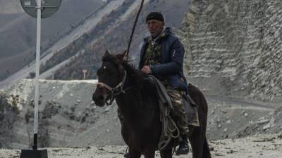 Дагестанская полиция остановила конный поход с чеченскими флагами