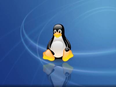 На анализ безопасности ядра Linux потратят 300 млн рублей