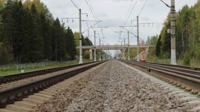 Один человек погиб при столкновении двух грузовых поездов в Чехии