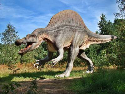 Учёные обнаружили в Шотландии десятки следов динозавров
