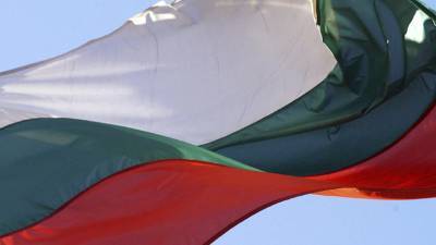 На парламентских выборах в Болгарии лидирует партия ГЕРБ