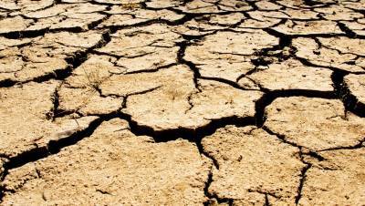 В Гидрометцентре предупредили об опасности летней засухи