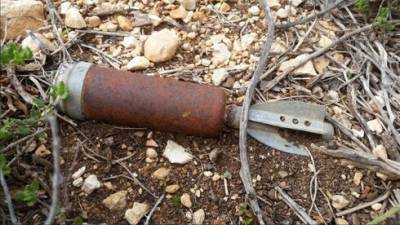 Семья Цыгановых из Иерусалима вышла погулять на природу и нашла "бомбу"