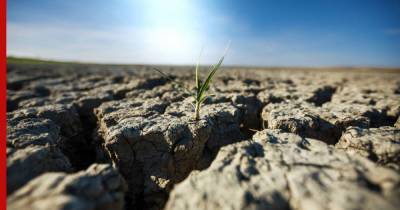 Вильфанд назвал российские регионы, которым может угрожать летняя засуха