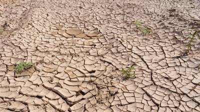 Летняя засуха может угрожать южным регионам России — Гидрометцентр