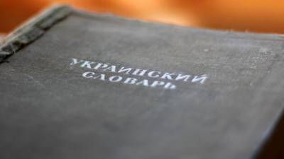 Власти Киева рассказали о существовании "украинского русского" языка