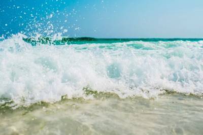 Во Флориде на пляж курортного города выбросило морскую мину