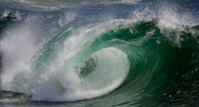 Жителей Флориды предупредили об угрозе шестиметровой волны с химикатами