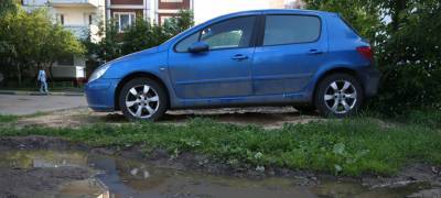 Власти Петрозаводска призывают жаловаться на паркующихся на газонах автомобилистов