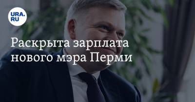 Дмитрий Самойлов - Раскрыта зарплата нового мэра Перми - ura.news - Пермь