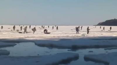 На Сахалине МЧС спасает 30 рыбаков с льдин