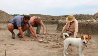В Украине возобновляют раскопки крупнейшего трипольского поселения