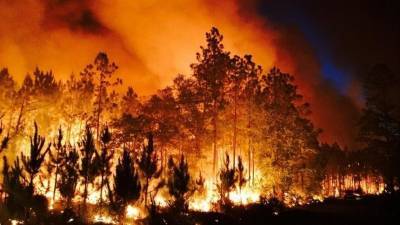 Люди покидают дома, уничтожен национальный парк: в США бушуют лесные пожары