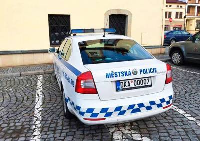 В Чехии полицию раскритиковали за «VIP-номер» на служебном авто