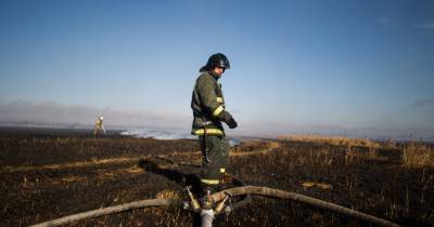 В Калининградской области за сутки потушили почти полсотни палов травы