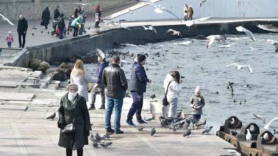 Севастополь стал регионом-лидером по росту численности населения в России