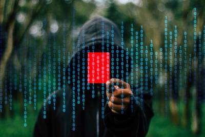 Бывшего школьника из Новосибирска осудили за 5 хакерских атак на сайты двух министерств – Учительская газета