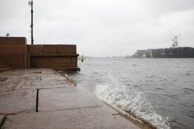 В МЧС предупредили петербуржцев об усилении ветра в понедельник