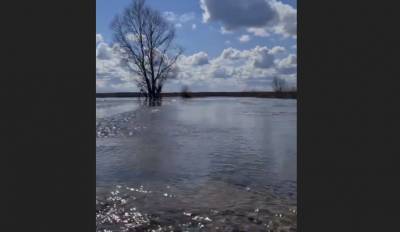 Поплыли! Паводок превратил дороги в Добровском районе в реки