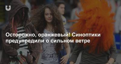 Осторожно, оранжевый! Синоптики предупредили о сильном ветре - news.tut.by - Минск