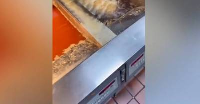 Работник "Макдоналдса" тайком снял фритюр, от вида которого никто и никогда не захочет картошку фри