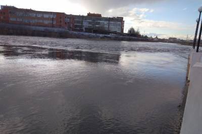 В Туле уровень воды в Упе в районе набережной Дрейера за сутки упал на 20 см