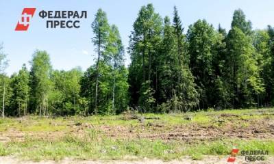 В Ставропольском крае прошла акция протеста против вырубки леса на горе «Солдатка»