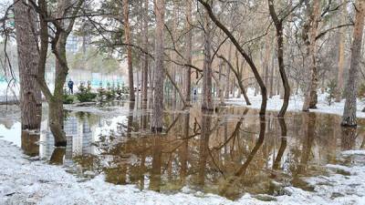 Резкое потепление в Екатеринбурге стало причиной потопа в "Зеленой Роще"