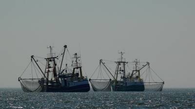 Российское правительство расширяет меры поддержки рыбного промысла