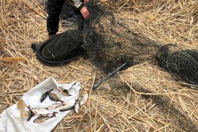 В Астраханском государственном природном заказнике поймали браконьера