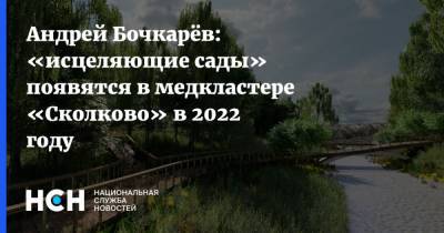 Андрей Бочкарёв: «исцеляющие сады» появятся в медкластере «Сколково» в 2022 году