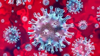 Гинцбург сравнил опасность коронавируса и птичьего гриппа