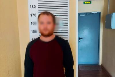 Петербургская полиция задержала «закладчика» с полукилограммом наркотиков