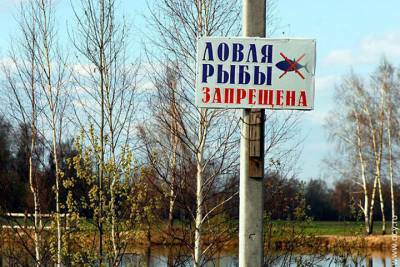 В Ярославлавской области запретят рыбалку