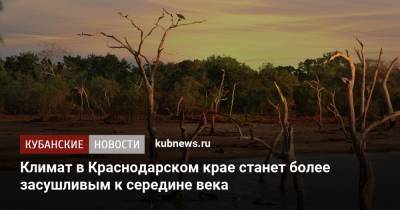 Климат в Краснодарском крае станет более засушливым к середине века