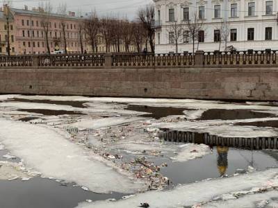 Жители Петербурга жалуются на мусор в Крюковом канале
