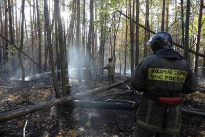Ученые выделили регионы, где хорошо справляются с лесными пожарами