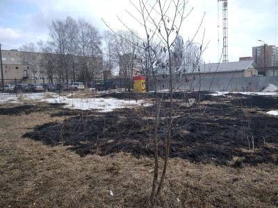 В выходные в Смоленской области зафиксировали 13 палов сухой травы