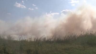 Выжигание травы оставило без света села на Харьковщине: срочное заявление спасателей