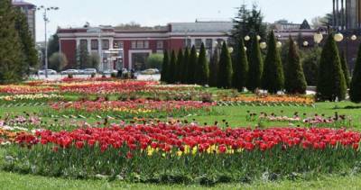 В Душанбе определили три лучших парка столицы