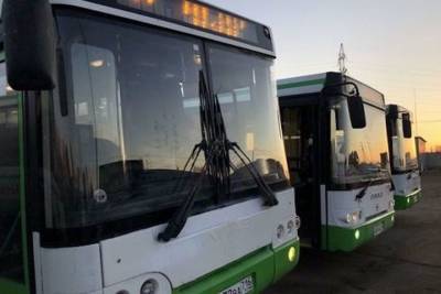 Набережные Челны постепенно откажутся от малогабаритных автобусов