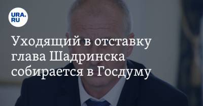 Уходящий в отставку глава Шадринска собирается в Госдуму