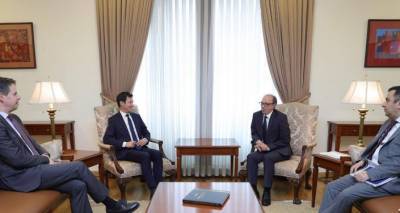 Глава МИД Армении и французский депутат обсудили ситуацию в регионе